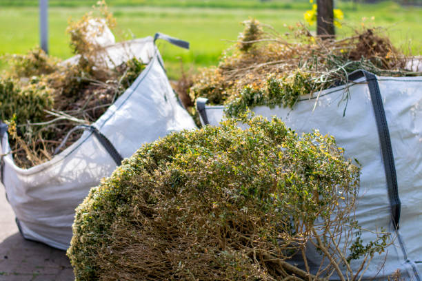 Basement Cleanout Services in Frankfort, KY